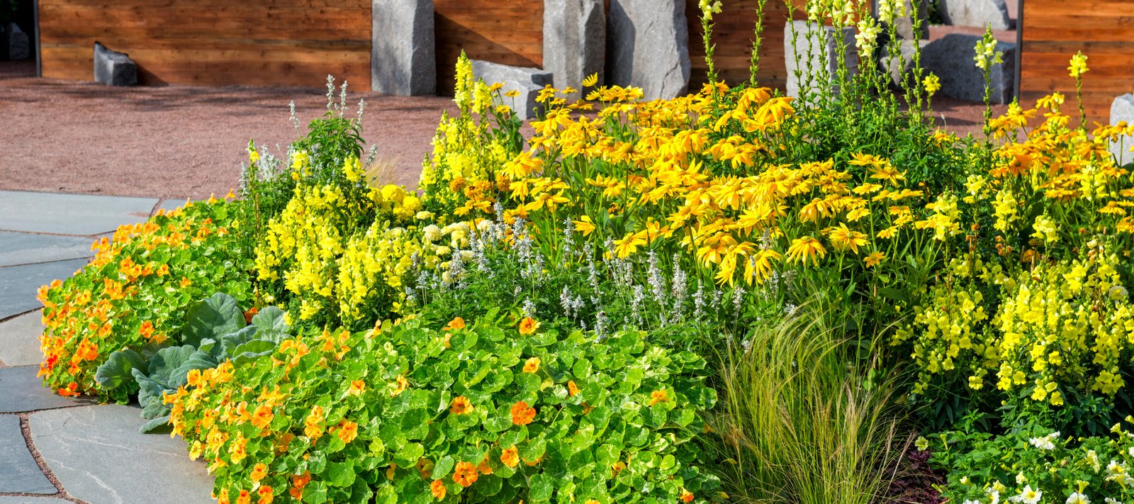 Design Your Own Garden