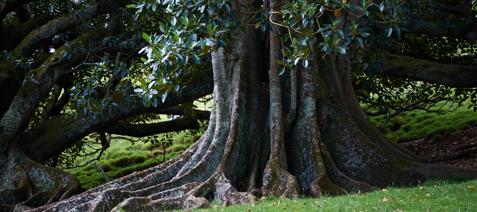 The best things in life are free