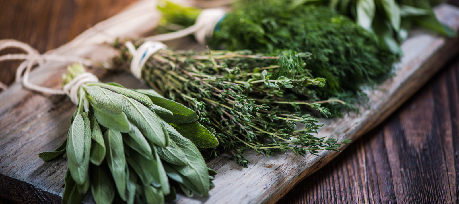 Bill Bampton's Top Ten Points for Herb Growing