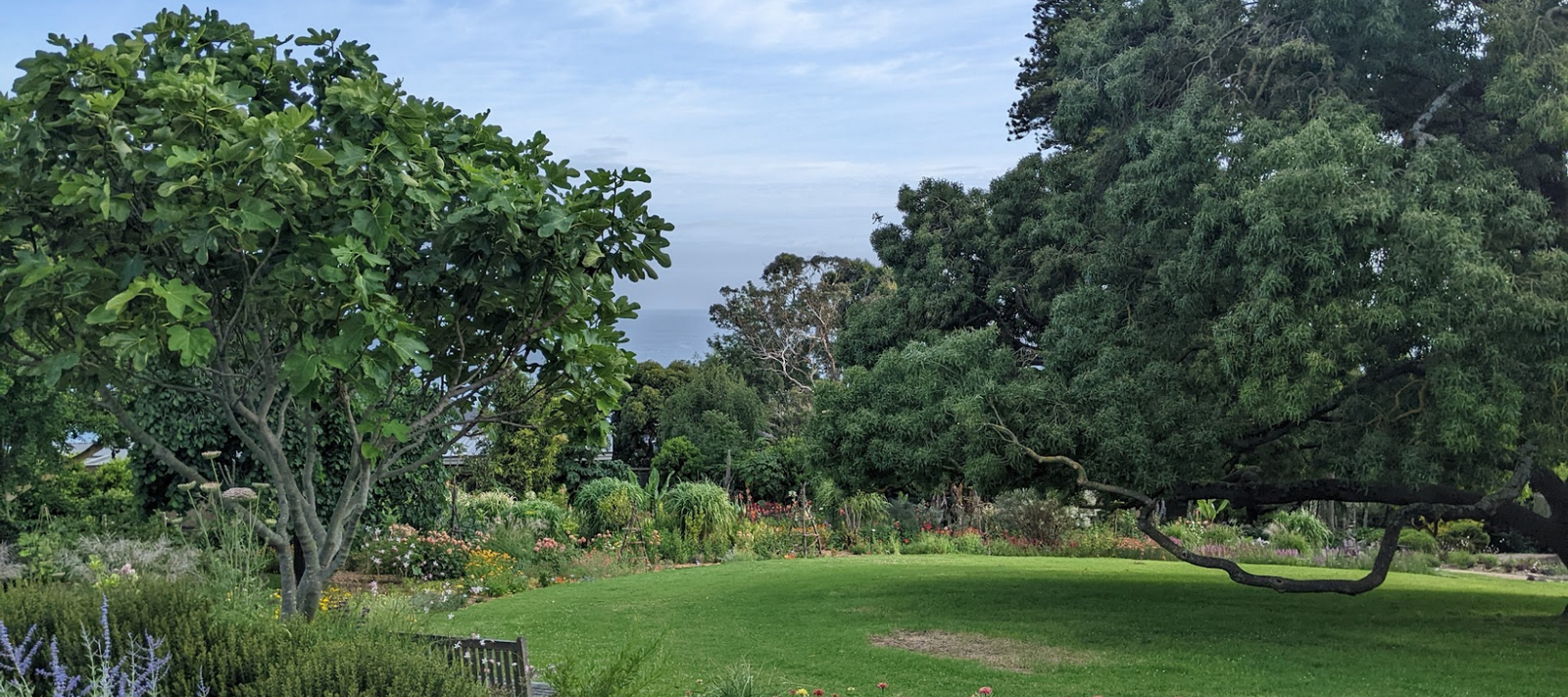 The colour wheel garden