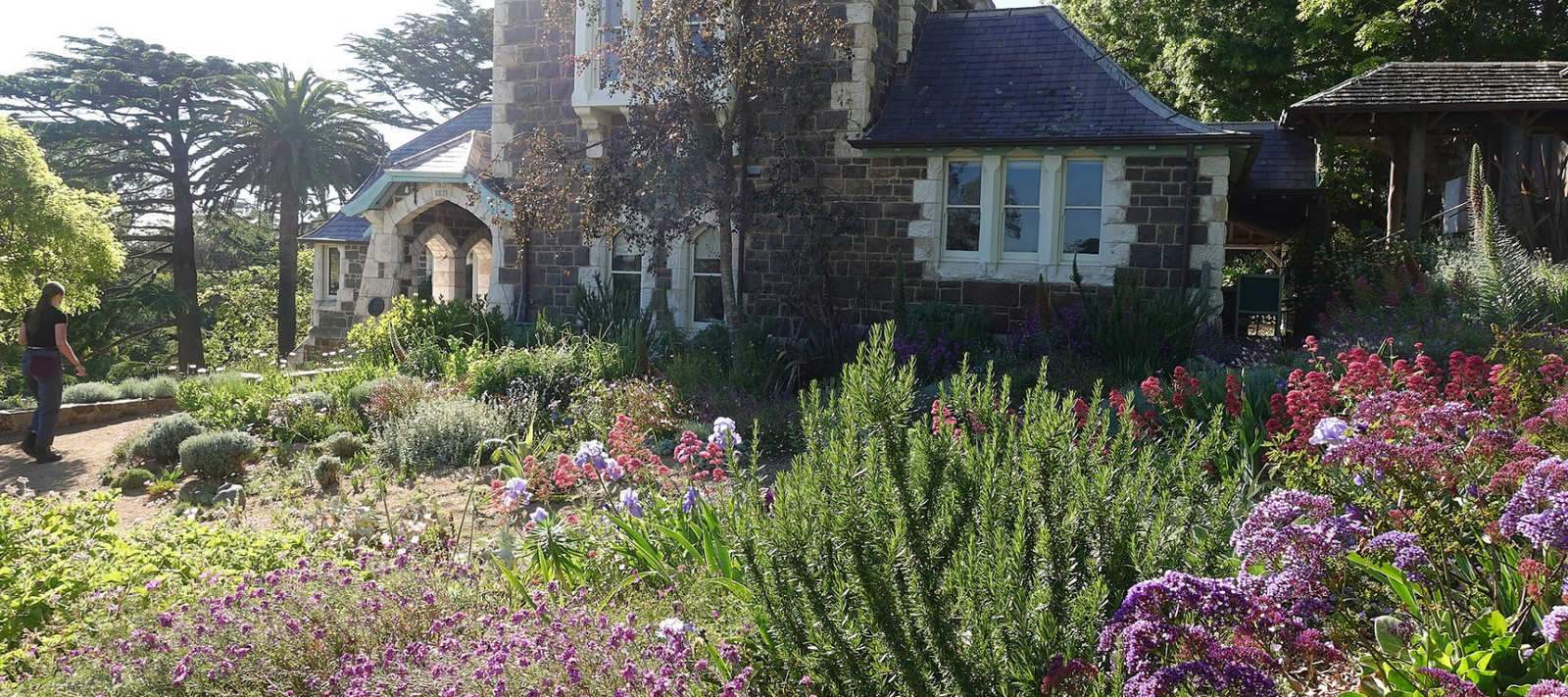 Planting Combinations