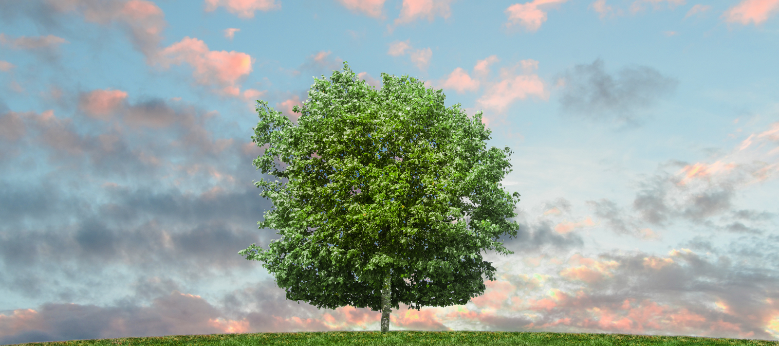 Why climate change threatens our biological system