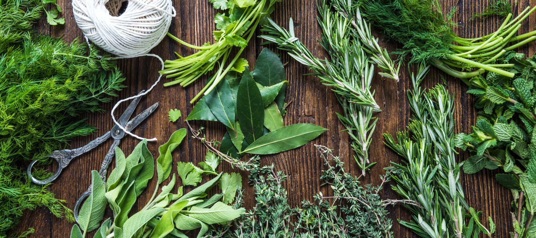 Herbs - More than a Kitchen Garden