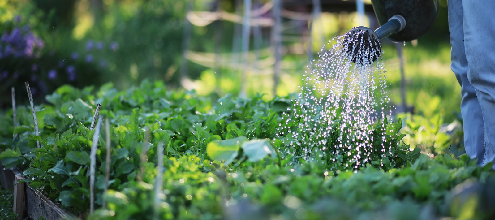 4.7 million Australians are growing their own food