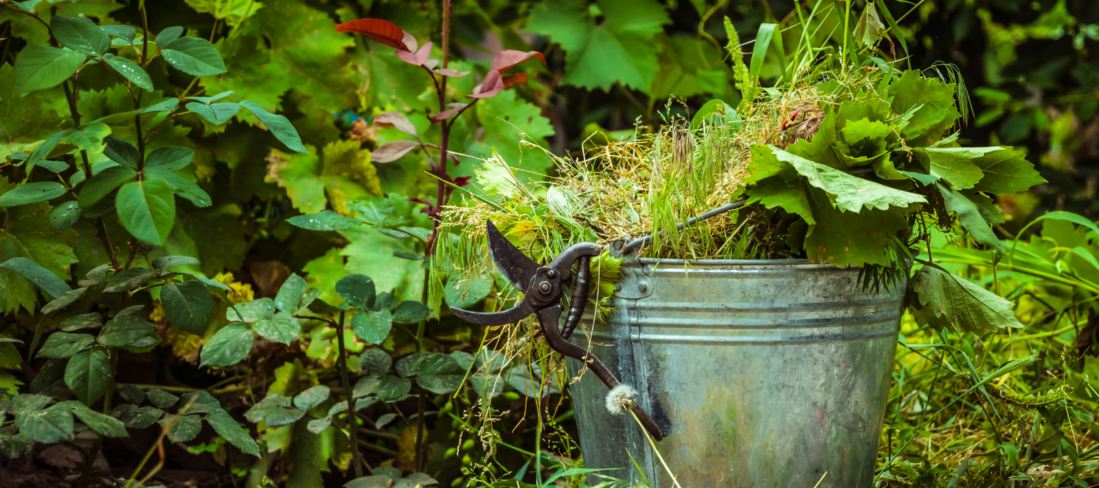 How to Make Compost