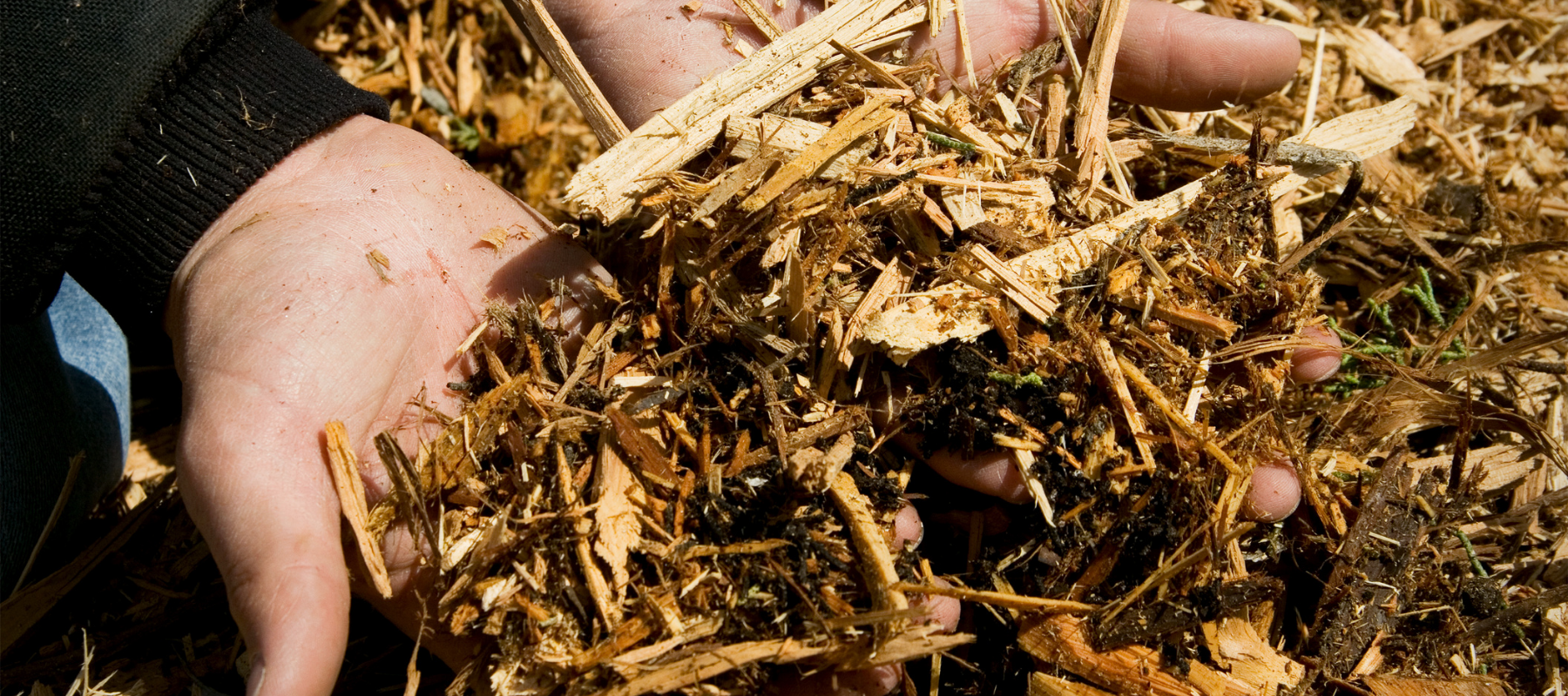 Mulch - your questions answered