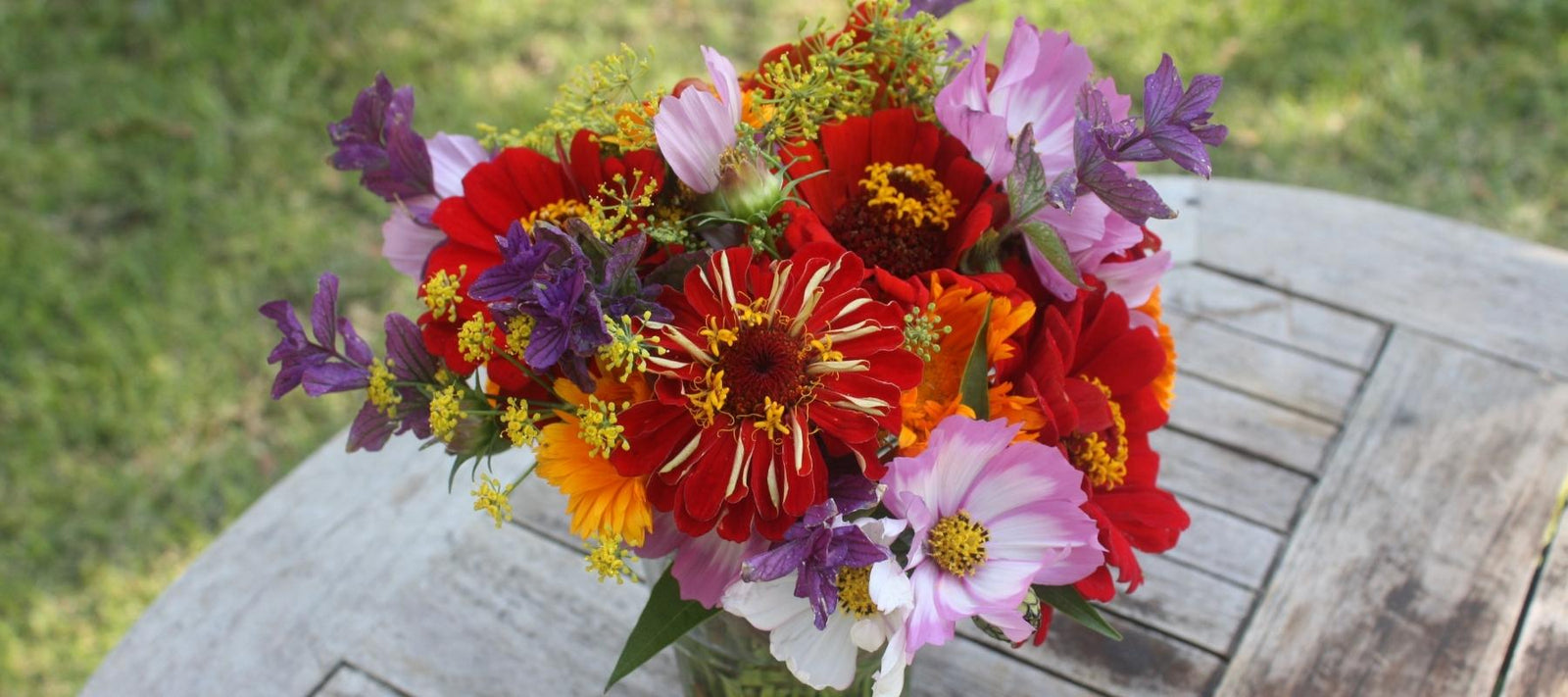 The cut flower garden – from garden to vase
