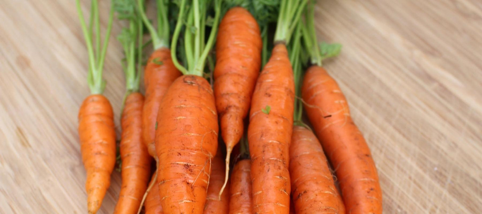 Heirloom Carrot 'Western Red'