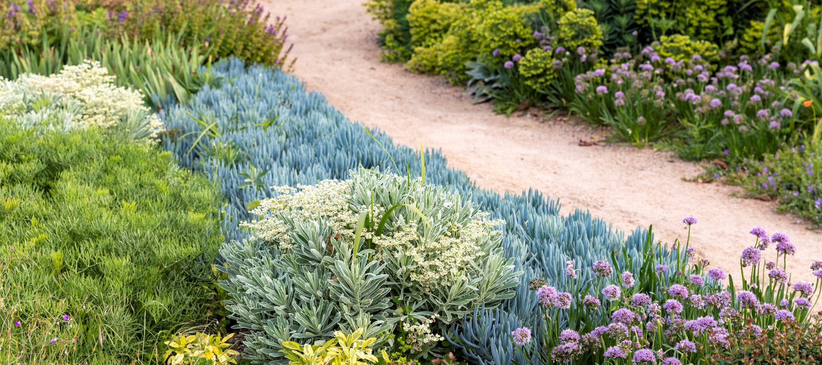 Heronswood’s evergreen cottage garden
