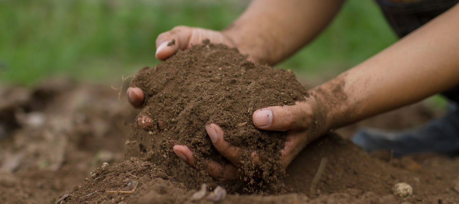 Ian Tolley’s Simple Soil Moisture Probe for Home Gardeners