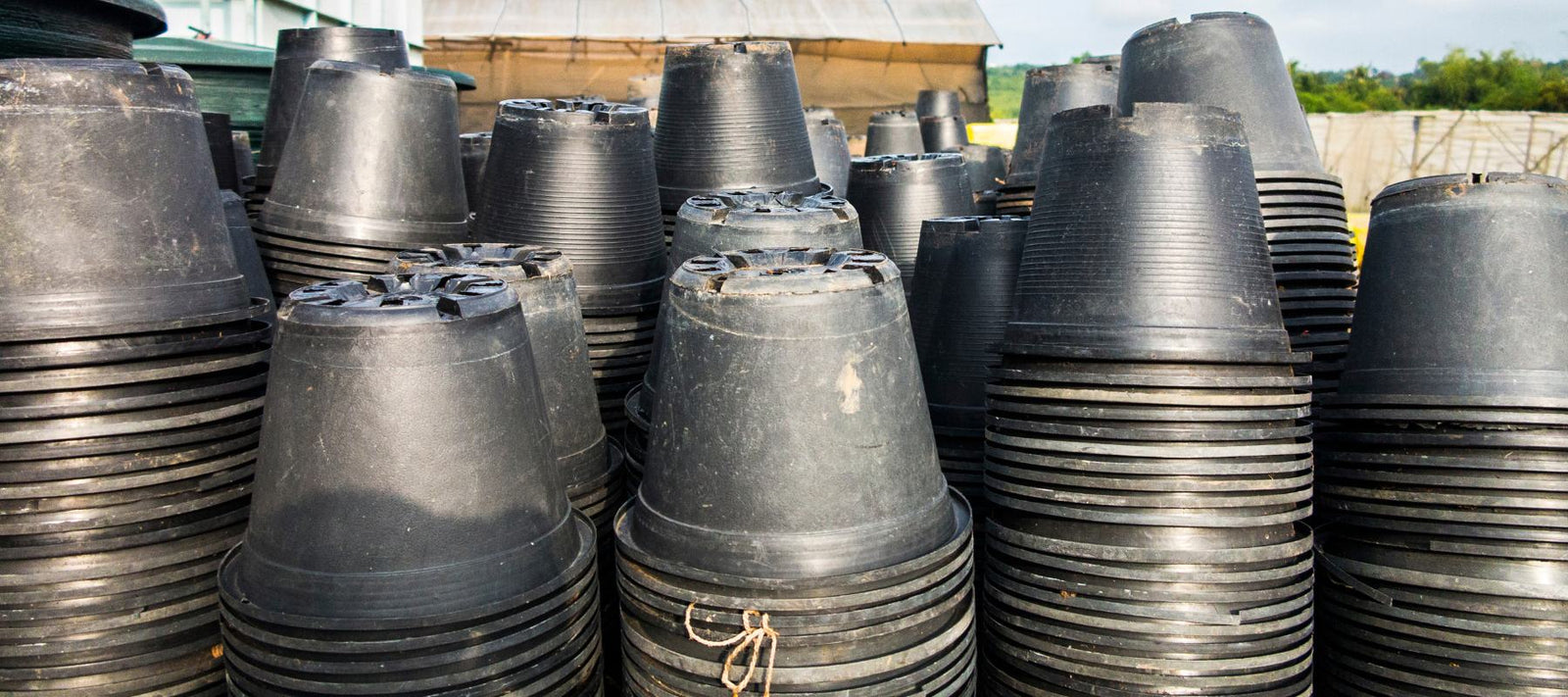 The plan for plastic pots