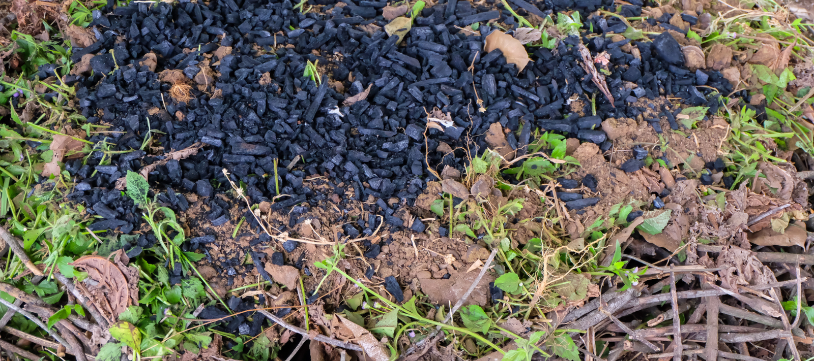 Biochar Explained
