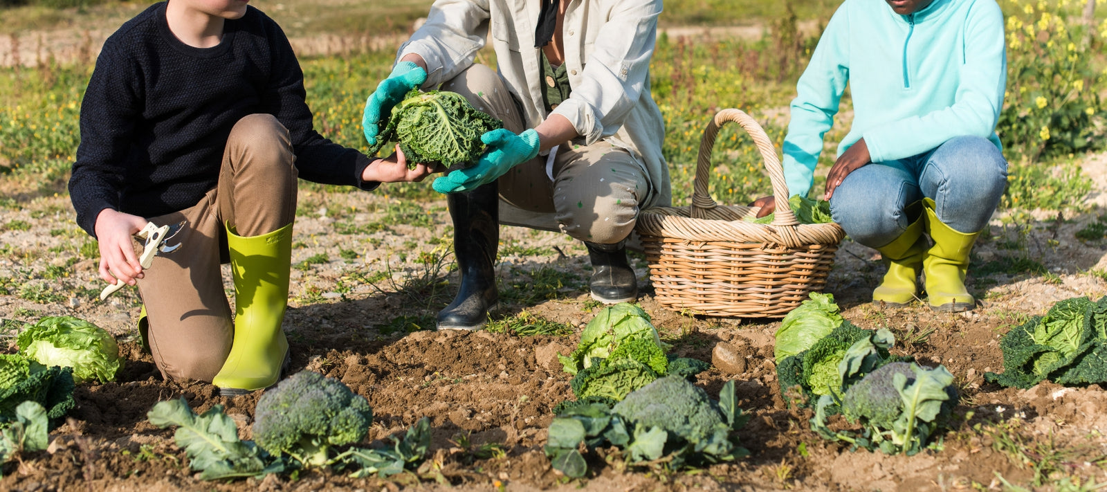 The garden classroom
