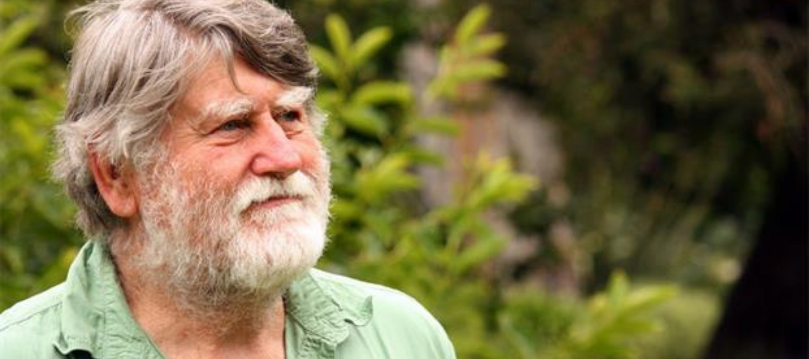 We have been fighting Monsanto for 20 years