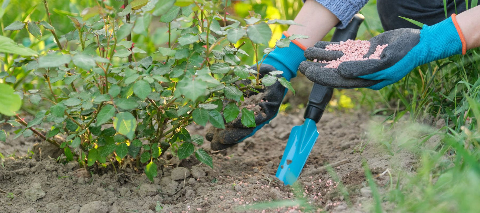 All about Fertiliser