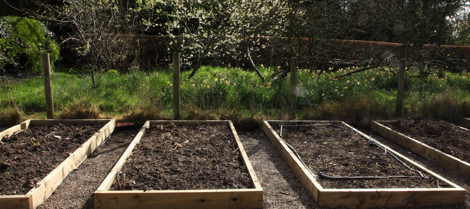 Starting your mini-plot from seed