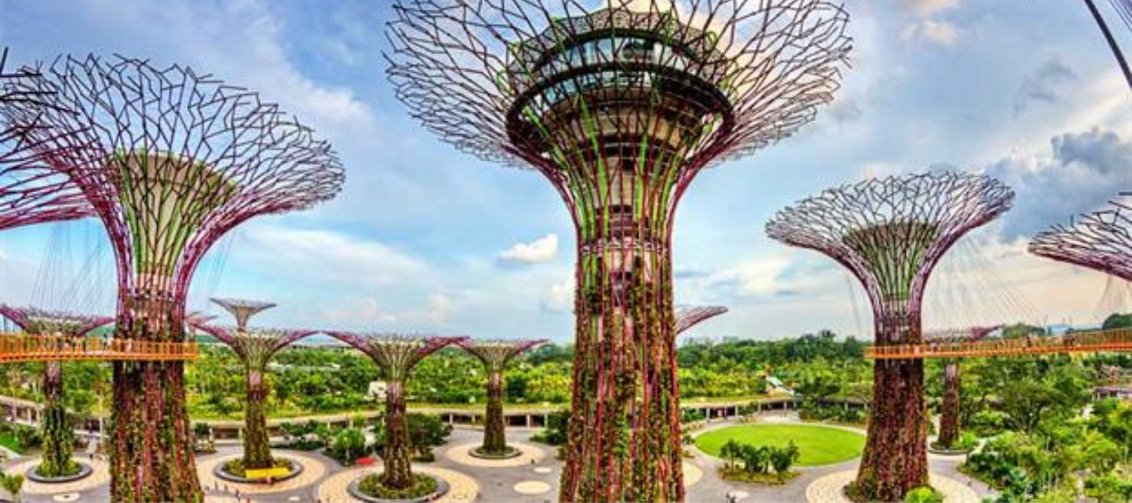 The world’s most interesting garden