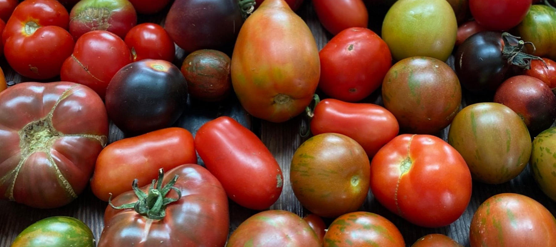 Heirlooms: Trialled and taste tested