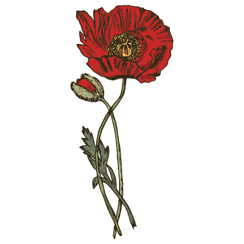 Poppy