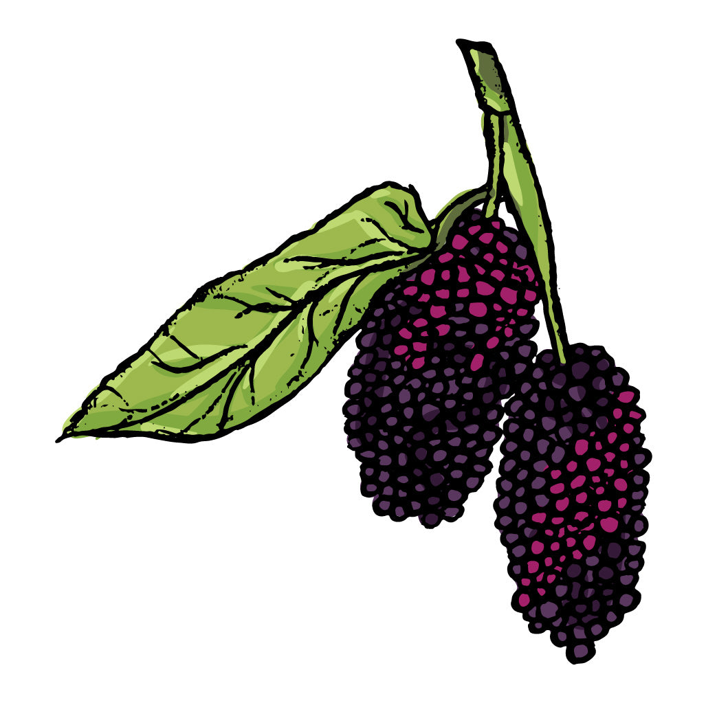 Berries