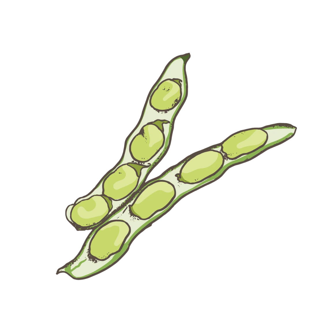 Vegetable seeds to sow now