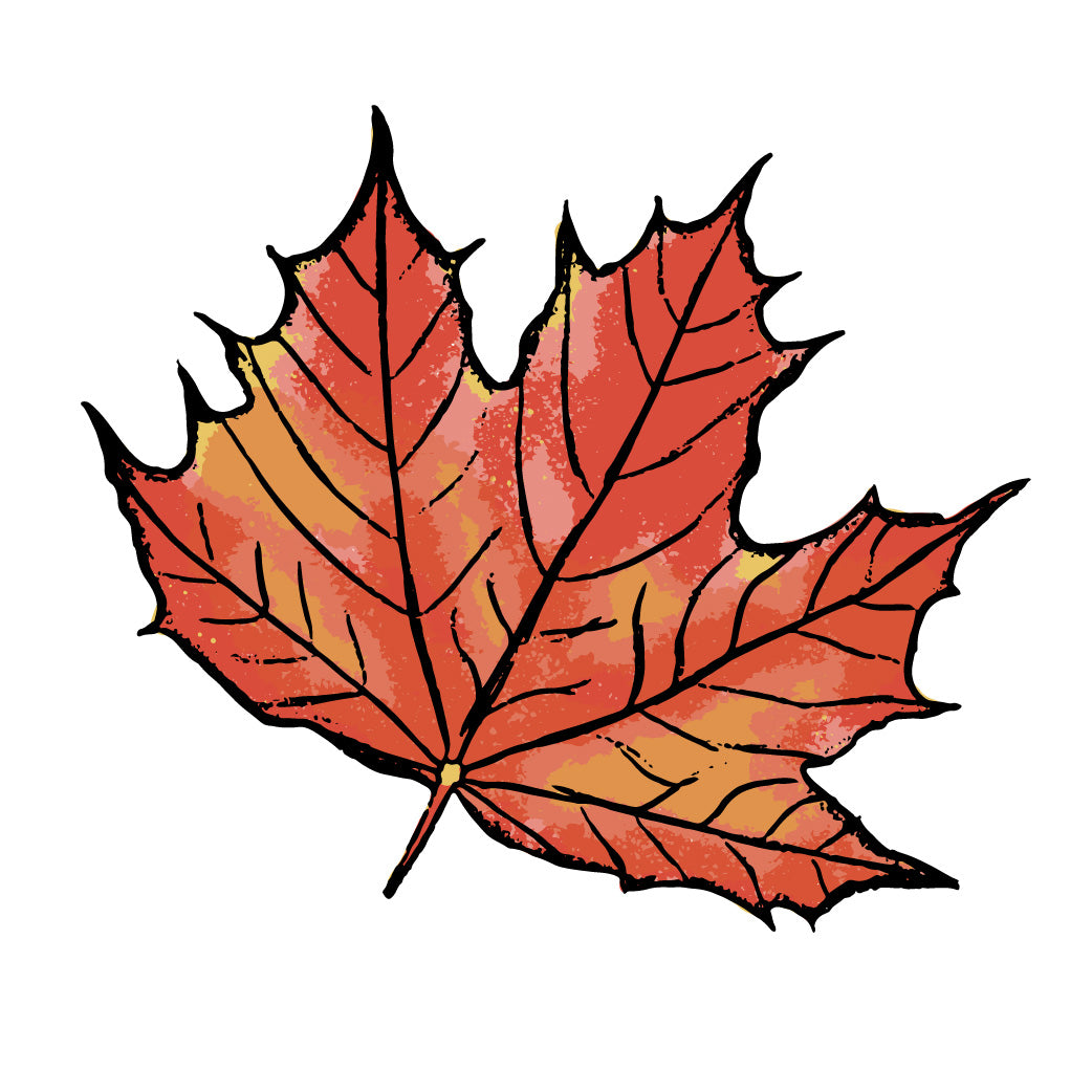Trees for Autumn Colour