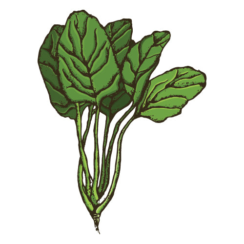 Spinach