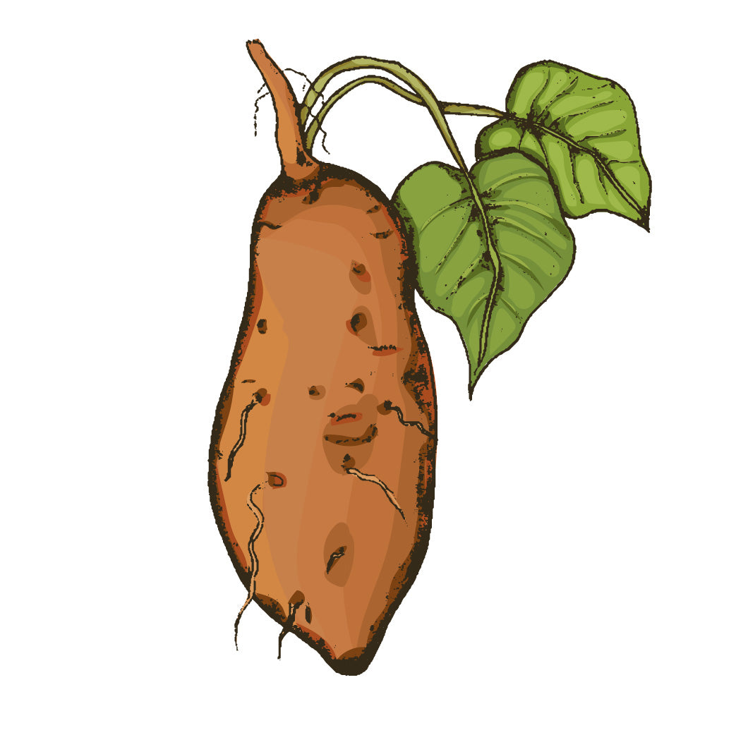 Sweet Potatoes