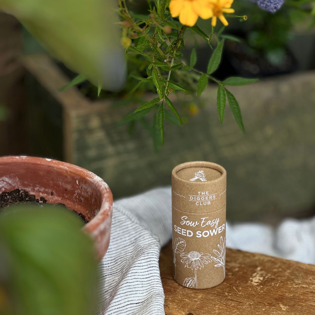 Sow Easy Seed Sower