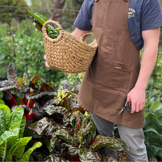 Growing food all year round - Blackwood - 6 Sept 2026