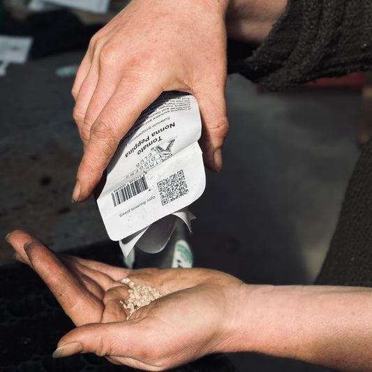 Secrets of Seed Sowing - Dromana - 13 Sept 2026