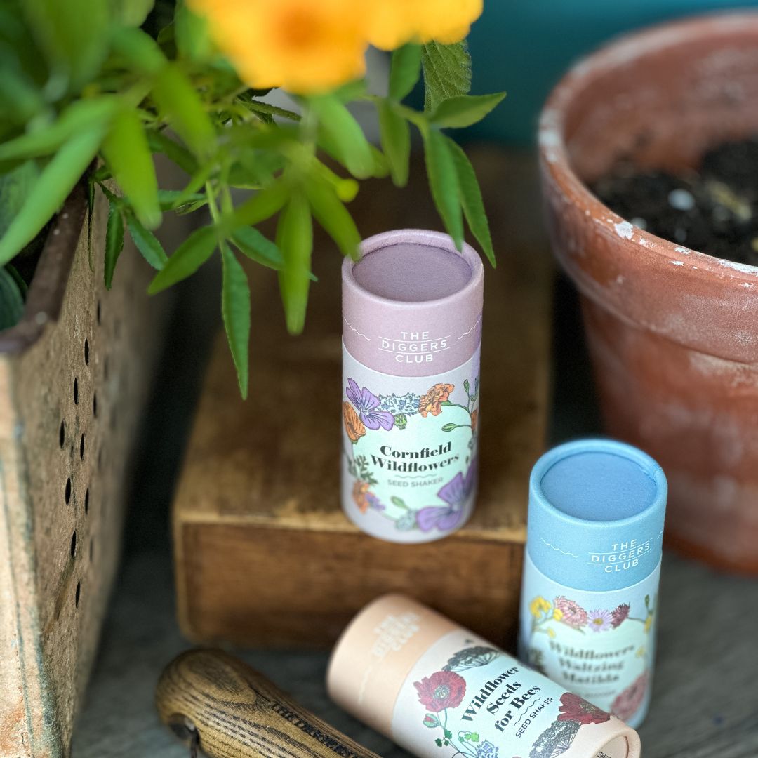 Wildflower Seed Shaker