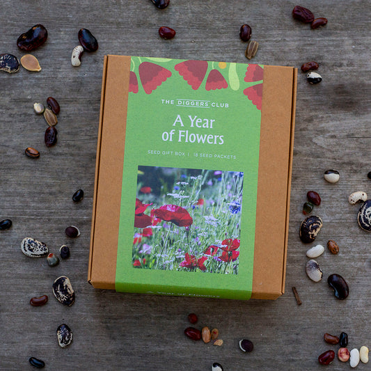 A Year of Flowers - Seed Box