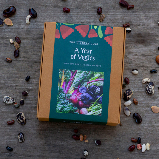 A Year Of Vegies - Seed Box