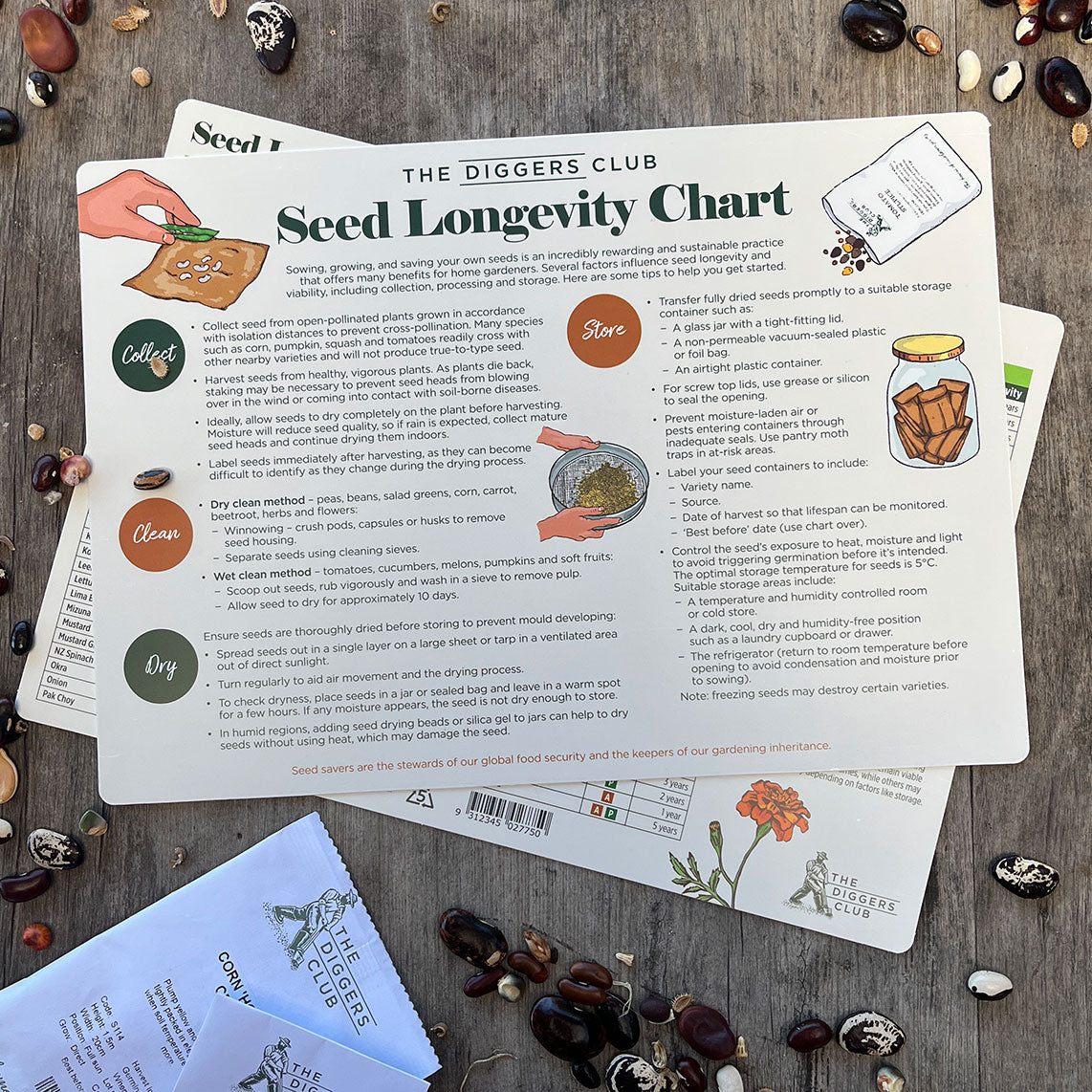Diggers Seed Longevity Chart