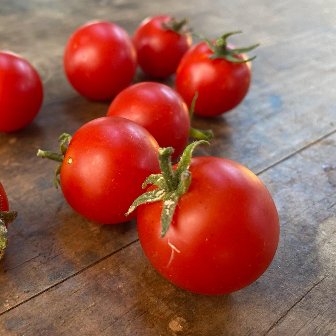 Tomato 'Angora Super Sweet'