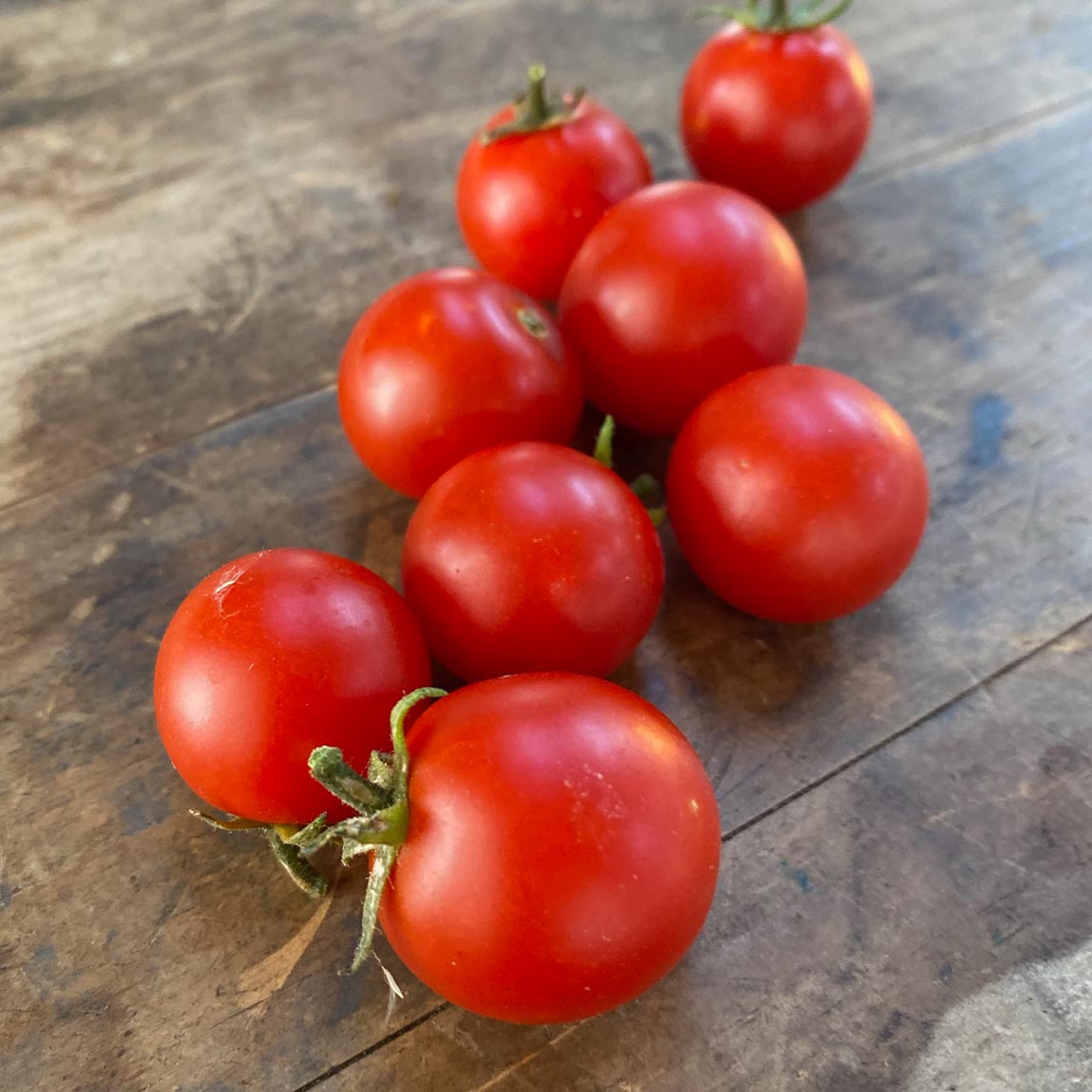 Tomato 'Angora Super Sweet'
