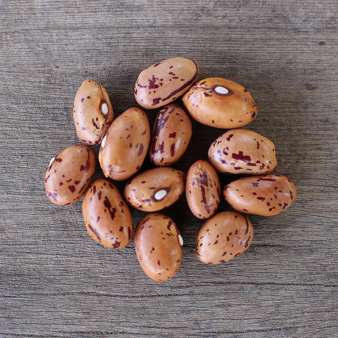 Bean 'Borlotti'