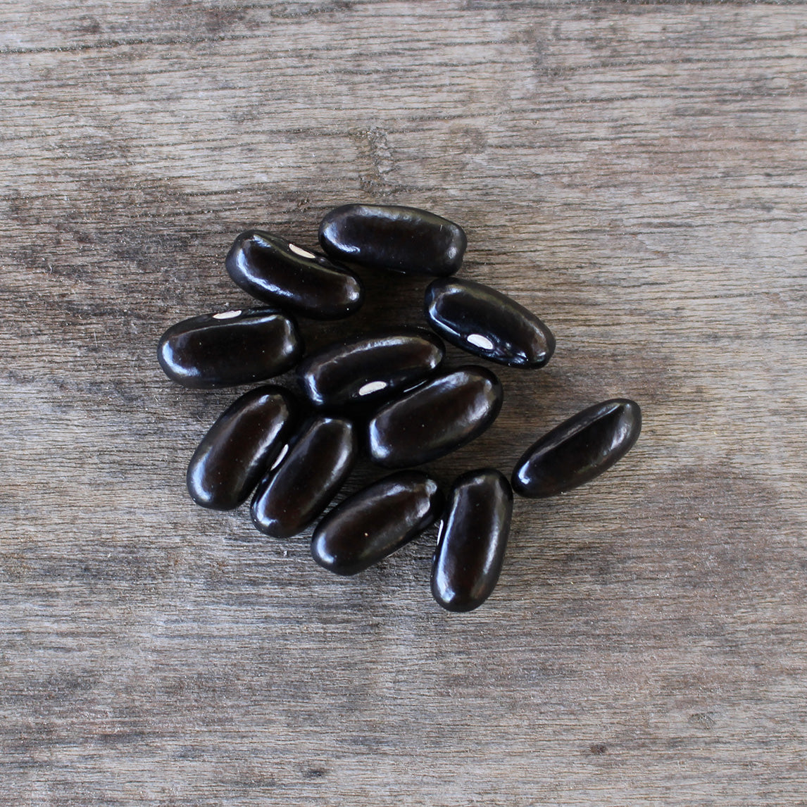 Bean 'Cherokee Trail Of Tears' (Organic)