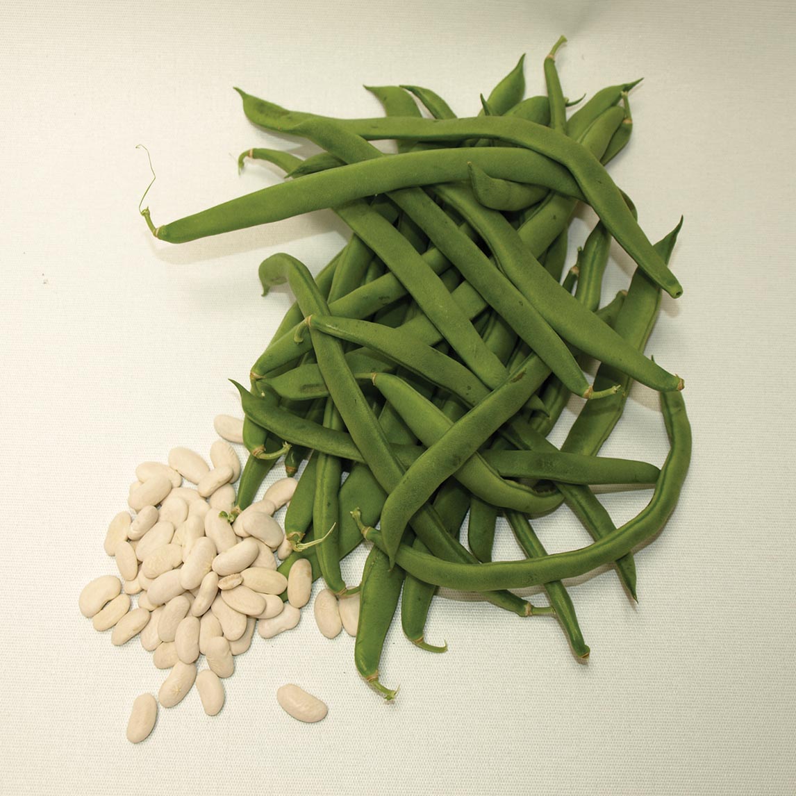 Bean 'Lazy Housewife' (Organic)