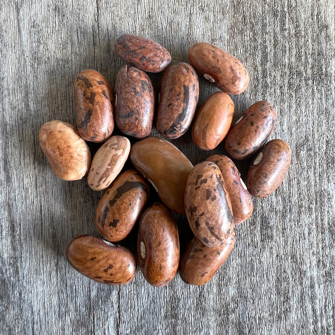 Bean 'Rattlesnake' Climbing
