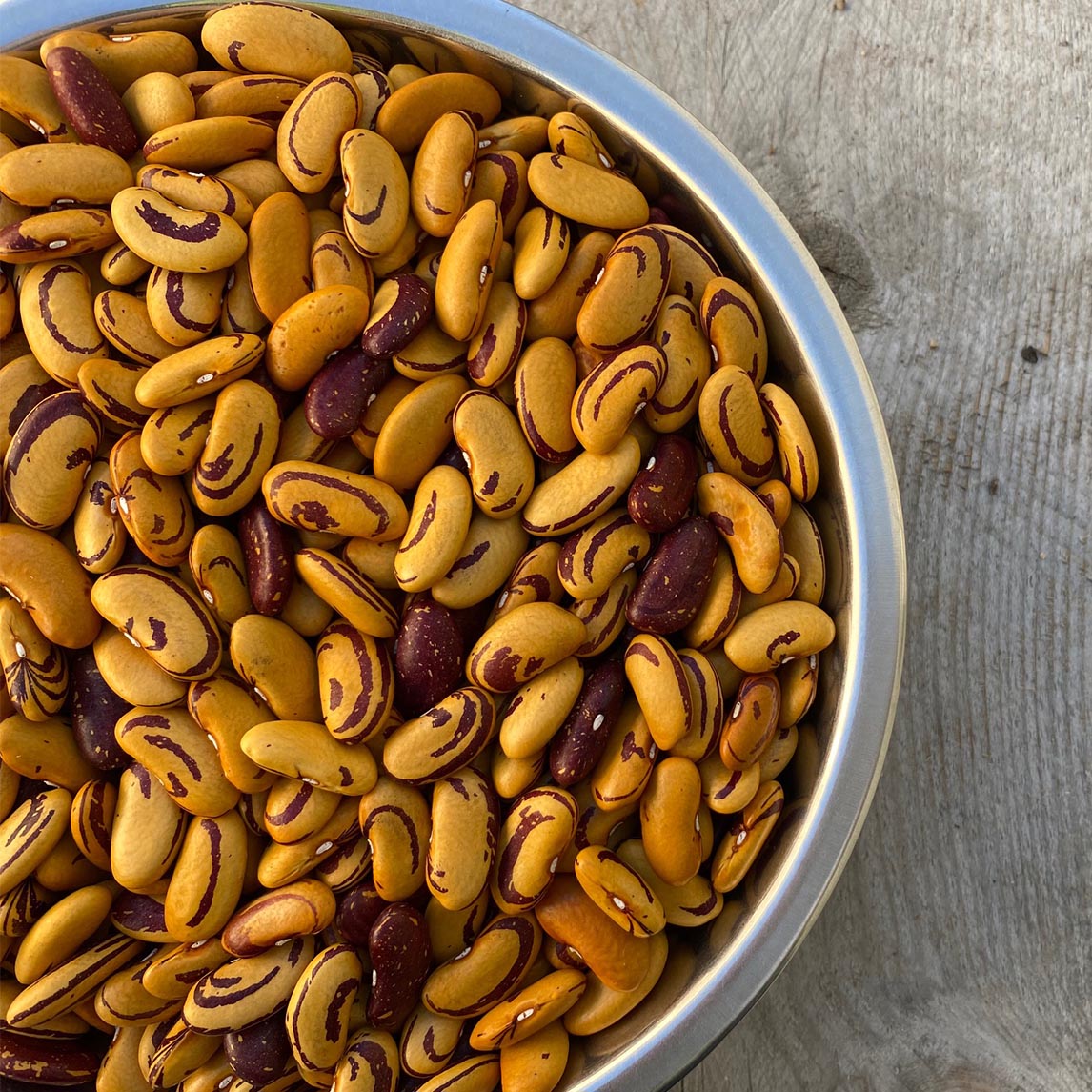 Bean 'Tiger's Eye' (Organic)