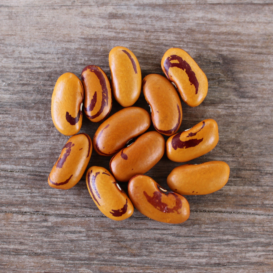 Bean 'Tiger's Eye' (Organic)