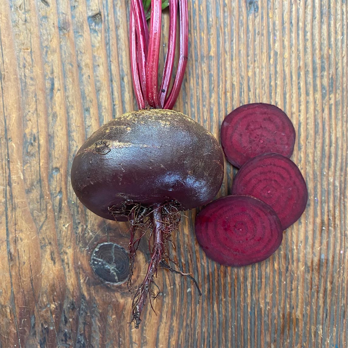 Beetroot 'Crosby's Egyptian'