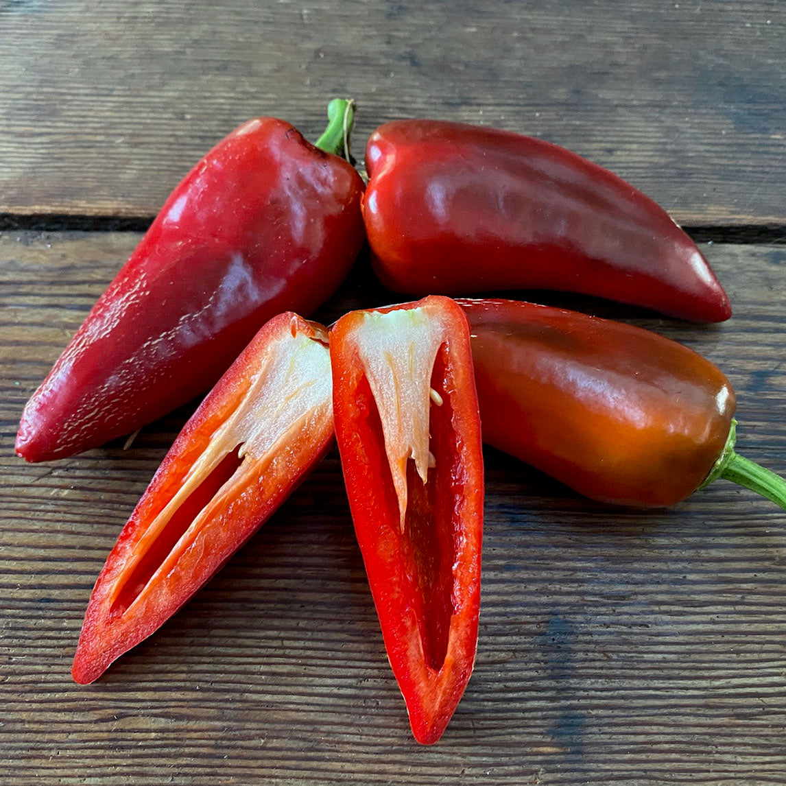Capsicum 'Lipstick'