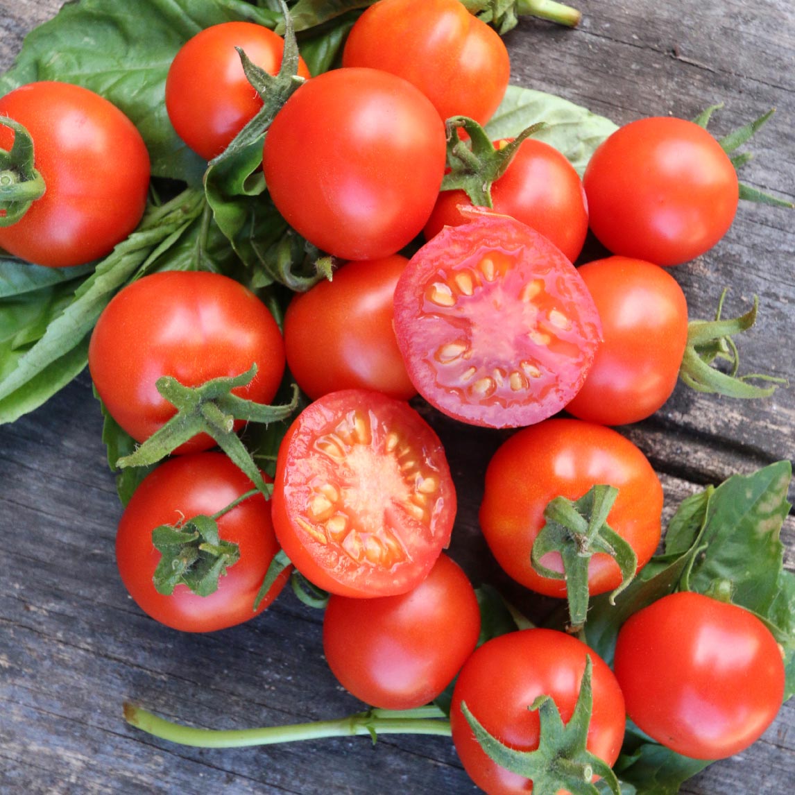 Complete Tomato Collection