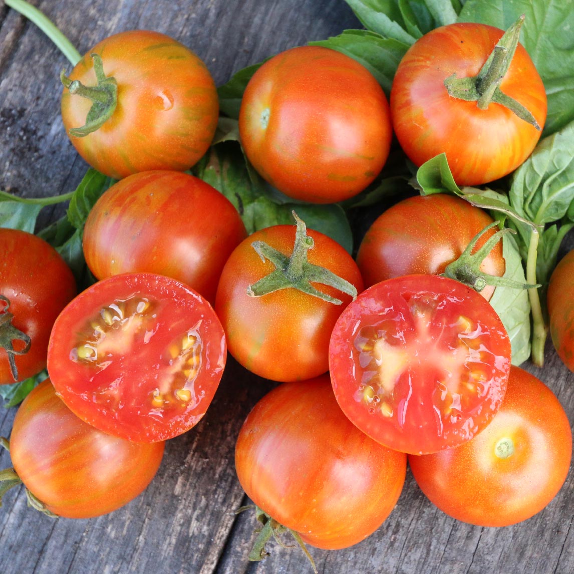 Complete Tomato Collection