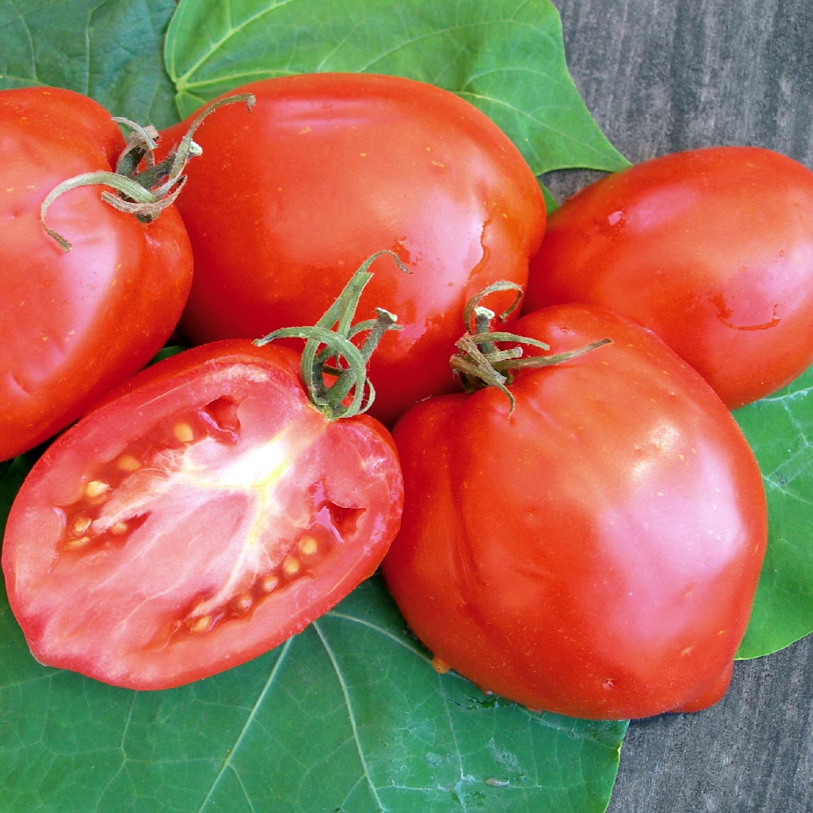 Complete Tomato Collection