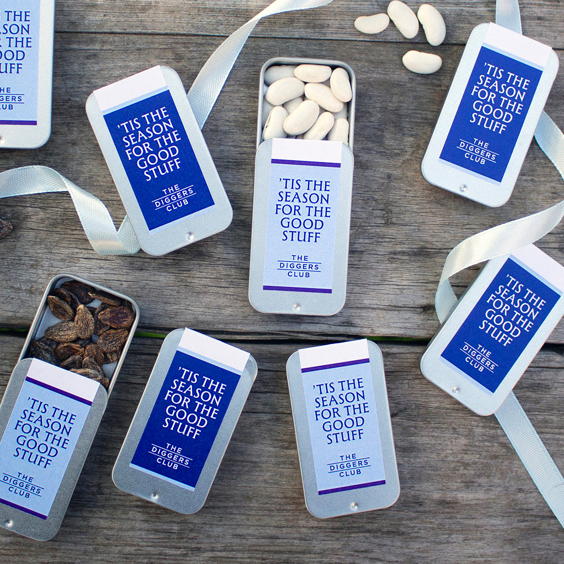 Festive Seed Tin -Silverbeet 'Five Colour Mix'