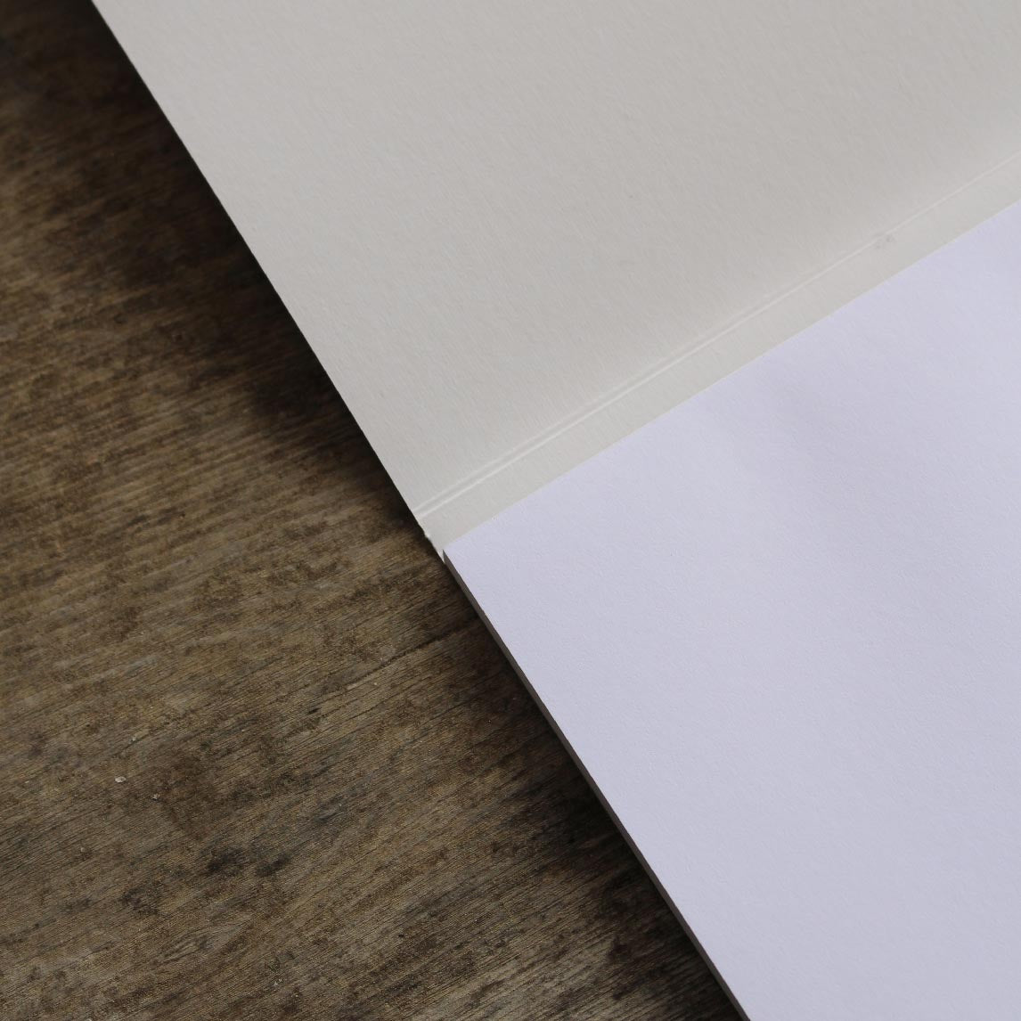 Diggers Sunflower Notepad